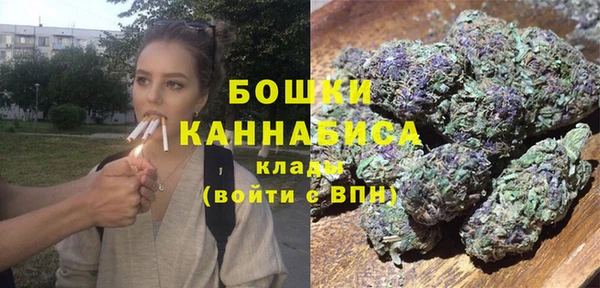 прущие грибы Верея