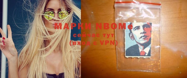 прущие грибы Верея