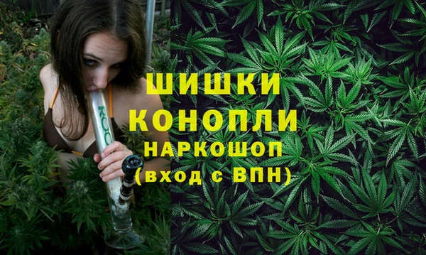 прущие грибы Верея