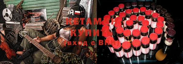 прущие грибы Верея