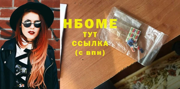 прущие грибы Верея